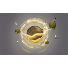 這個小學，有點開掛了！